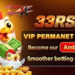 33RS Game