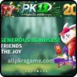 PK11 Game