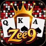 Zee9 Game